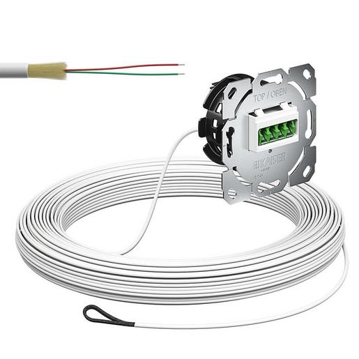 4250009 Teilnehmeranschluss Gf-TA, UP, 2xF, LC/A