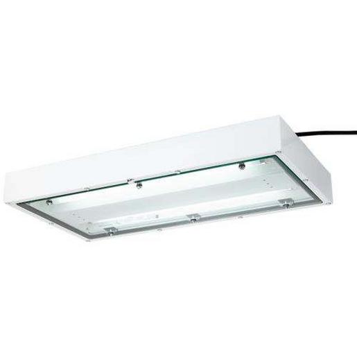 6012/1112-2951-1100-11 6012/1112-2951-1100-11, Langfeldleuchte