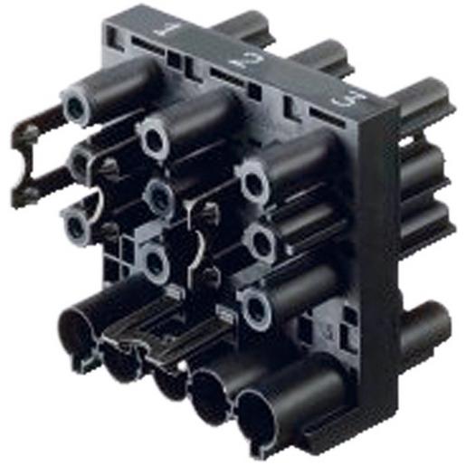 375.106 Wieland Verteilerblock GST18 1 E/1+6A