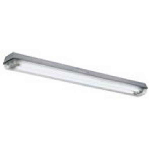 1 2267 875 101 Ex-Langfeldleuchte für Leuchtstofflampen