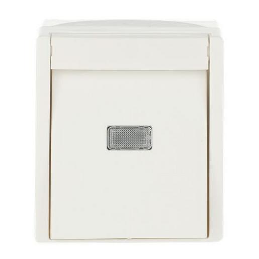 2621 WGL-54 Wipptaster Schließer