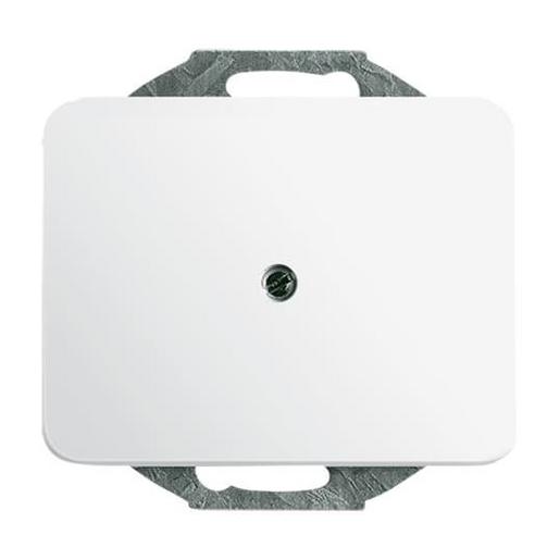 1749-24G Zentralscheibe mit Tragring