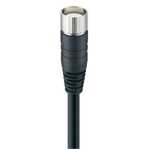 RKUE 19-242/5 M Connectors - M23, Molded - Connector Fem