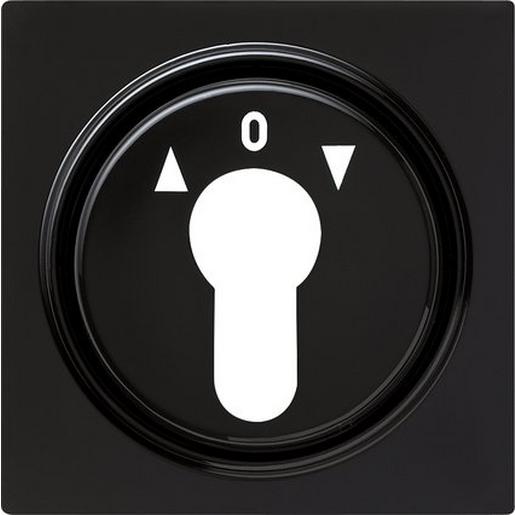 066447 Abd. Schlüsselschalter/-taster S-Color S