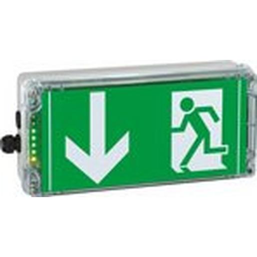 1 2191 030 003 Ex-Notlicht-Rettungszeichenleuchte für Z