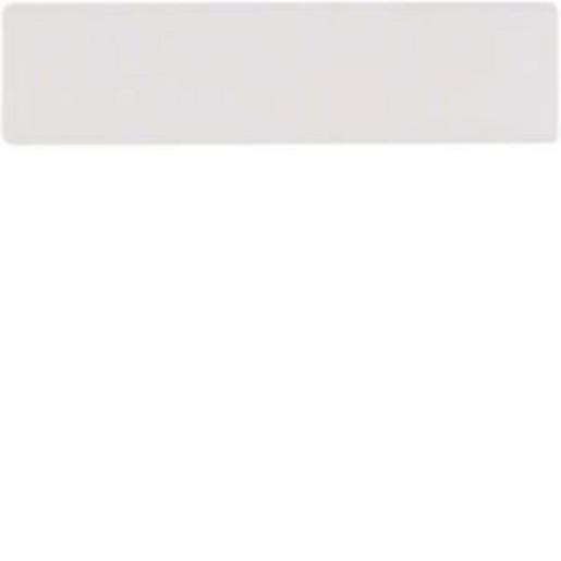 REH012Y AVZ-NNE Namenssch.-Einl. 49,6 x 12 mm