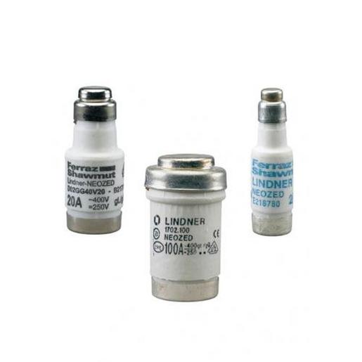 D01GG40V13 Sicherungseinsatz NEOZED gG D01 AC400V 1