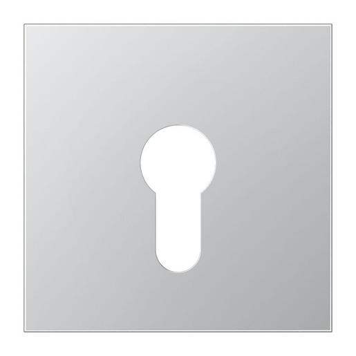 AL 2925 Abdeckung für Schlüsselschalter ohne Dem