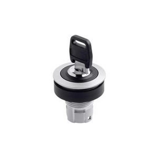 RRJSSA14 Schlüsselschalter Rastend Schlüssel Silb