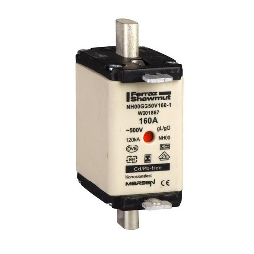 DF2FGN100 Sicherungspatrone DIN 00mit Messern, gG