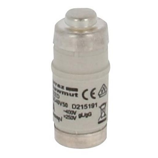 100250 D02 Sicherungseinsatz 400V AC/ 250V DC,