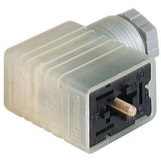 GML 209 NJ LED 24 YE grau GML 209 NJ LED 24 YE grau