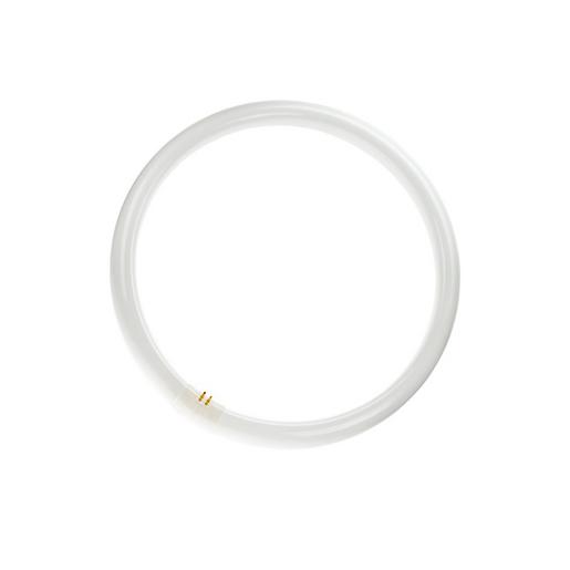 FC032830/01 TL-E G10q 32W 830