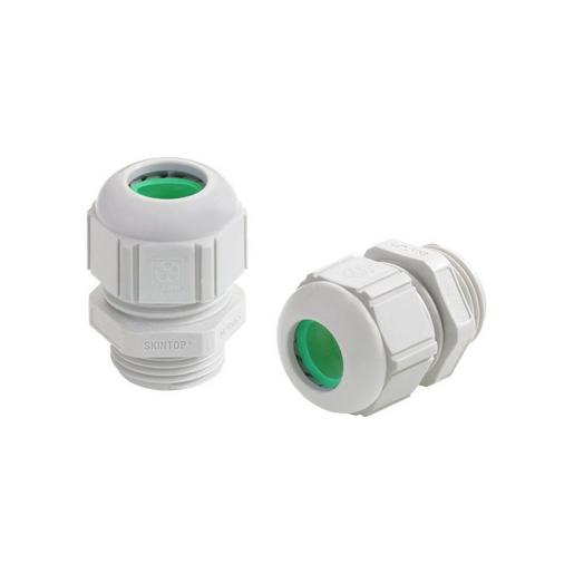 53111427 SKINTOP ST-HF-M 20x1,5 RAL 7035 LGY