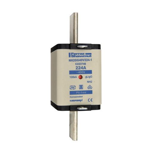 NH2GG40V224-1 Sicherungseinsatz NH gG Größe 2 AC400V 2