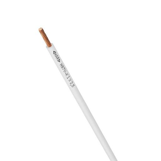 4520052S/100 H07V-K 1X2,5 WH