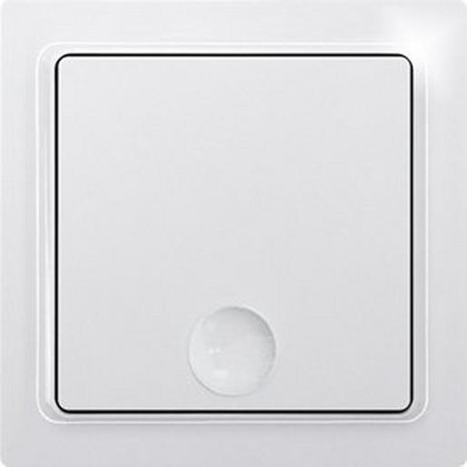 F1T65-wg Funk-1-Kanal-Taster reinweiß glänzend E-