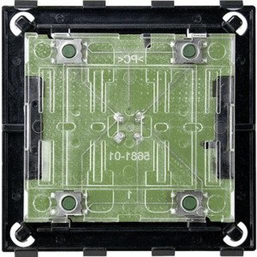 568199 Tastermodul 2fach, System Fläche