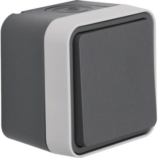 30773505 Kreuzschalter AP W.1 grau