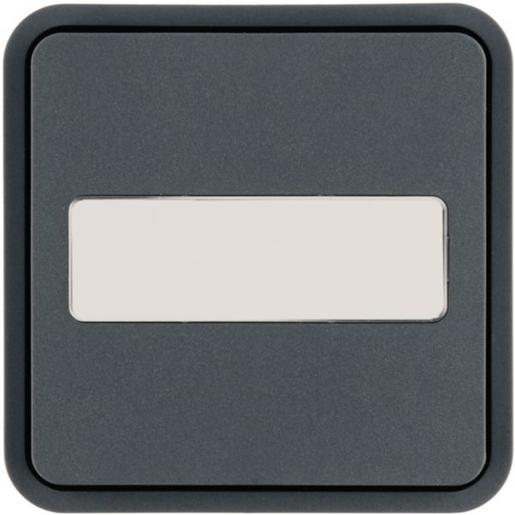 30763545 Wippe 1f. f. W.1 Taster-BA,BSF,grau