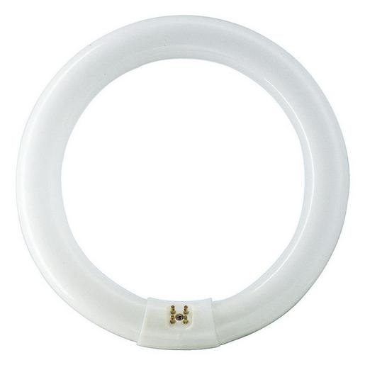 TL-E 22W/865 1CT/12 MASTER TL-E Circular - Fluorescent lamp