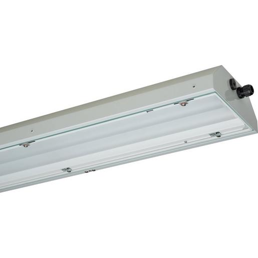 nD822 06L60 EX-LED-Stahlblechleuchte EX-Zone 2/22 40