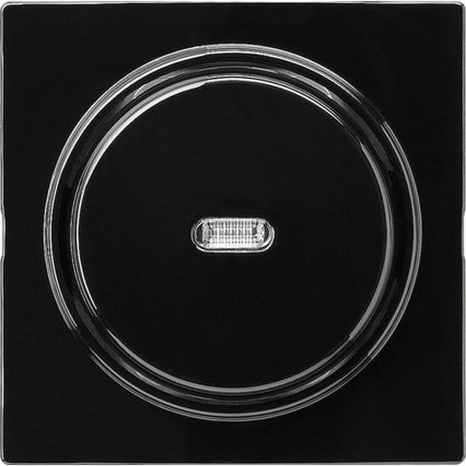 012047 Taster Wechsler Abd. + gerade Kontrollf.