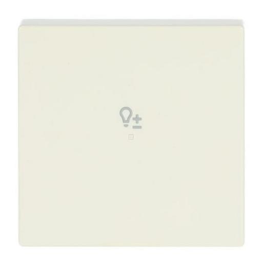 6234-10-82 Wippe 1-fach, mit Symbol "Dimmer"