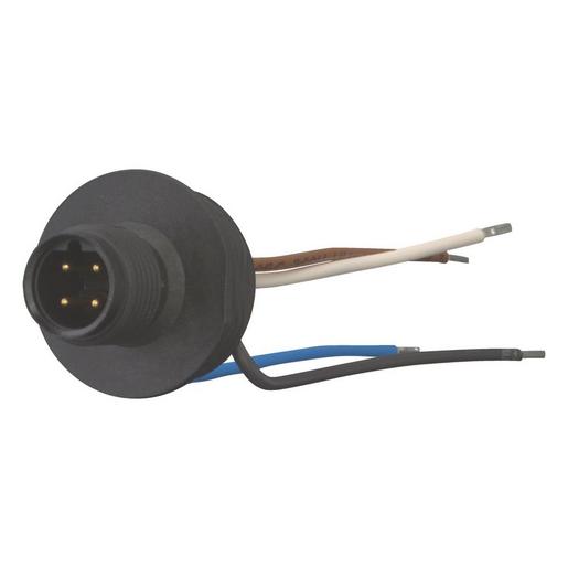 M12A5 Anschlussbuchse, 5p, M12, 'A' codiert