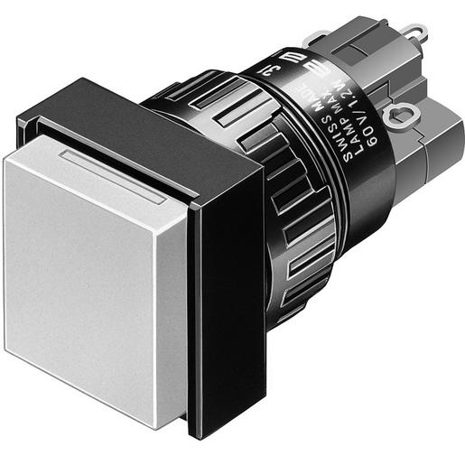 31-282.0252 Leuchtdrucktaste R SP 2Ö+2S L 18x18 Ag/A