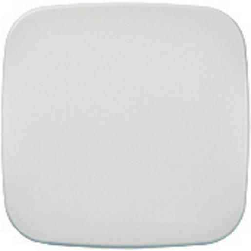 293604 Wippe für Universalschalter/Taster RENOV