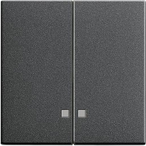 063128 Wippe 2f Kontrollf. System 55 Anthrazit