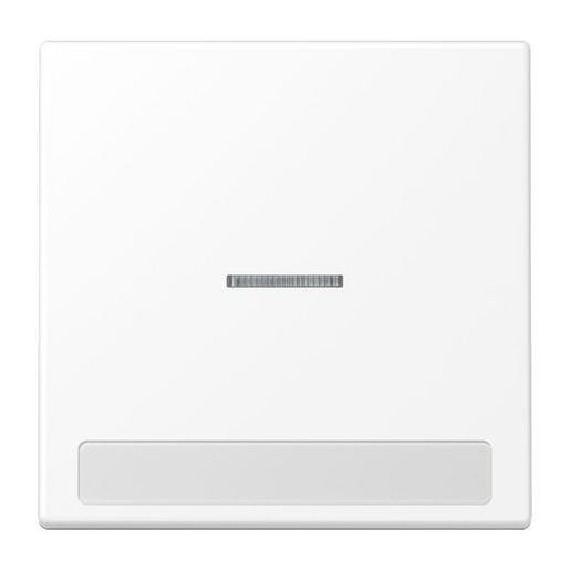 LS 990 NAKO5 WWM Wippe 1fach, mit Lichtleiter, mit Schrif