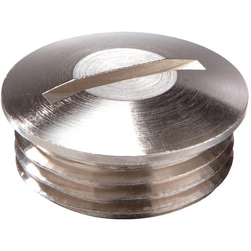 MVS 29 Messingverschlussschraube PG29