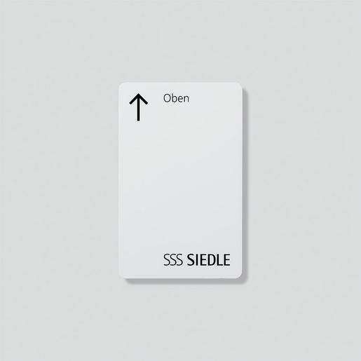 RCC 602-0 RCC 602-0 Ruf-Controller-Card