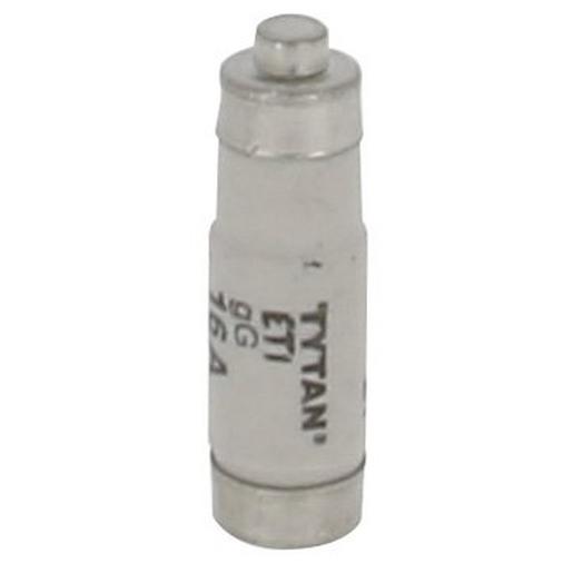 100216 D01 Sicherungseinsatz 400V AC/ 250V DC,