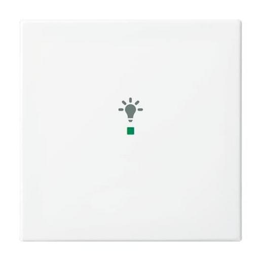 6231-10-914 Wippe 1-fach, mit Symbol "Licht"