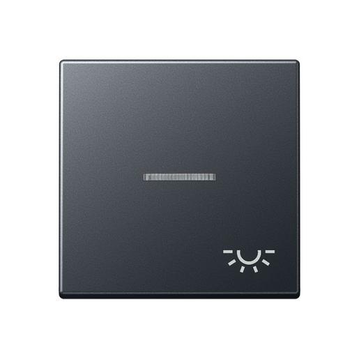 A 590 BFKO5 L ANM Wippe 1fach, mit Lichtleiter, Symbol Lic