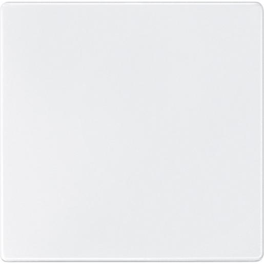 573819 Sensorfläche, polarweiß, AQUADESIGN