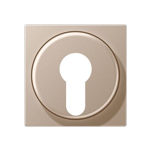 A 528 PL CH Abdeckung für Schlüsselschalter mit Demo