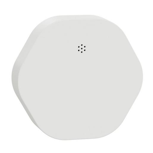 CCT592012 Wiser Wassersensor