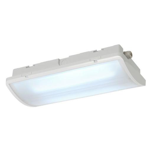 P-LIGHT CW IP65 weiß 6000K P-LIGHT, Deckenleuchte, LED, 6000K, IP65