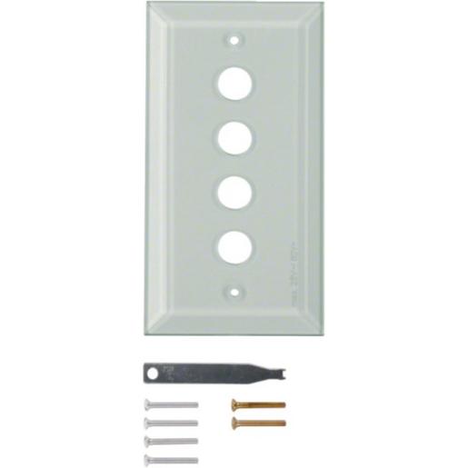 1341 Glasabdeckplatte 4fach m Facette TS klar