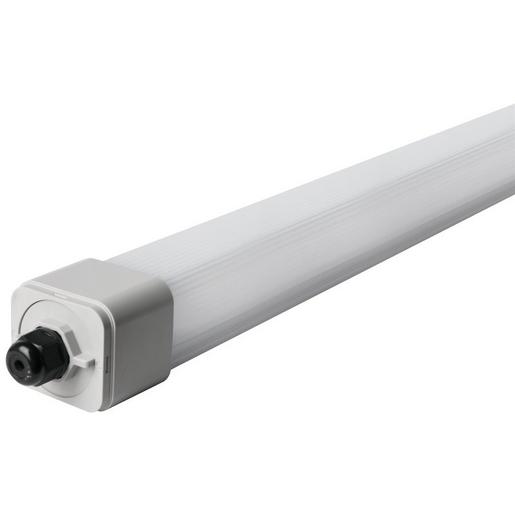 MM77314 MEGAMAN DINO2 Feuchtrauml. 4-polig 1,5m