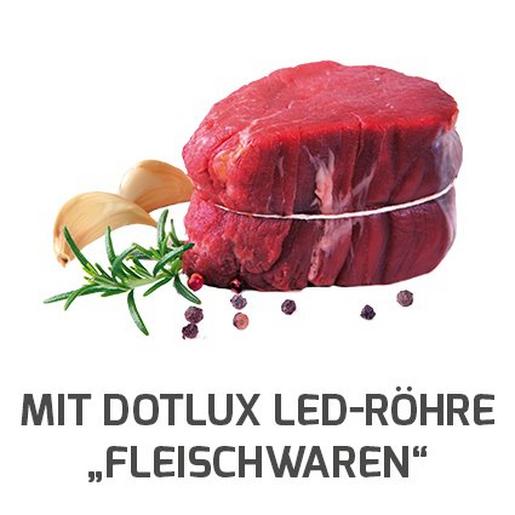 1642-1 DOTLUX LED-Röhre LUMENPLUS 60cm 8W Fleis