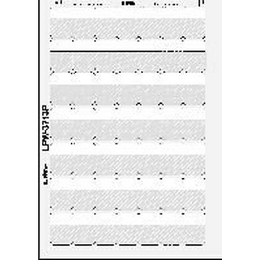 LPW-3713P Kabelmarkierer f. Laserdrucker 36,5x12,7