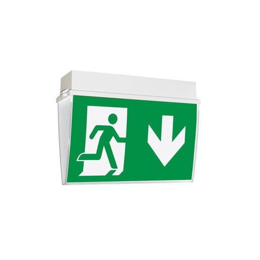 Rettungszeichen LED-Rettungszeichen KAPPA 46U SL, mit Ei