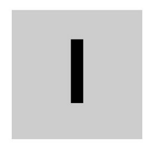 11LQ25 Einlegeschild, transparent, I