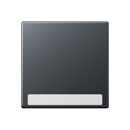 A 590 BF NA ANM Wippe 1fach, mit Schriftfeld, Thermoplas