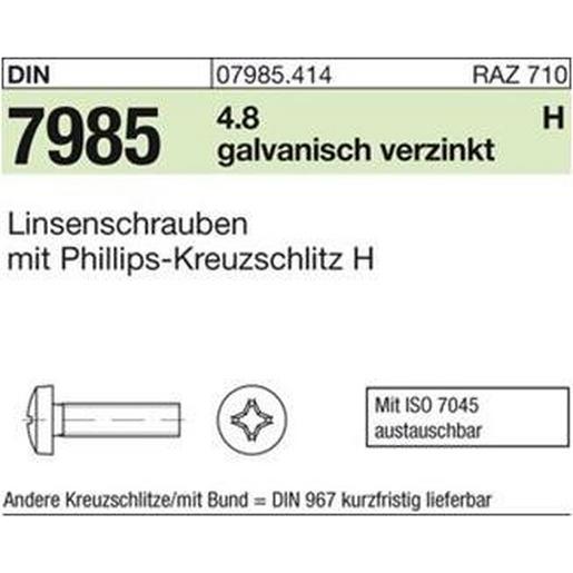 079854140060020 DIN 7985 4.8 M 6 x 20 -H galv. verzinkt